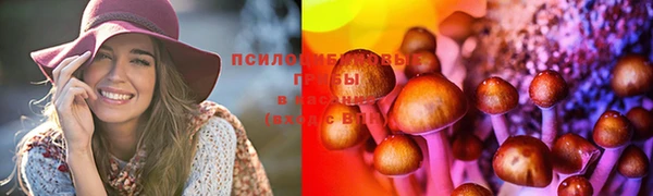 ECSTASY Кодинск