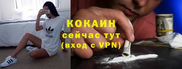 ECSTASY Кодинск