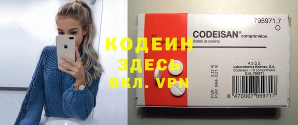 ECSTASY Кодинск