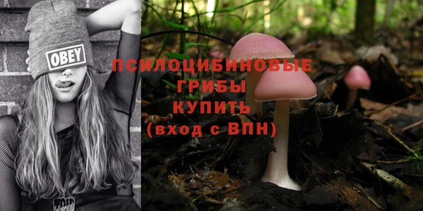 мет Козловка