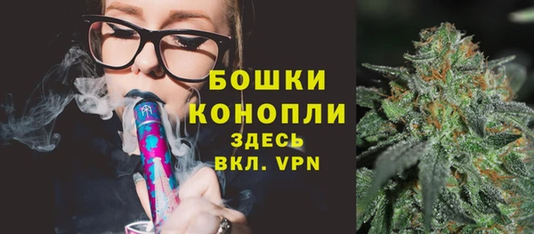 2c-b Козельск