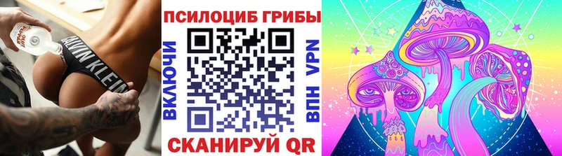 Псилоцибиновые грибы Cubensis  Купить  Ярцево 